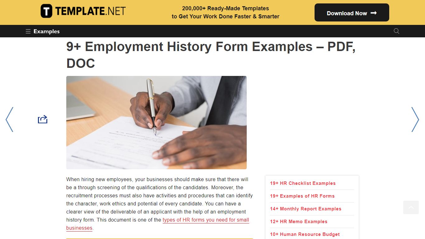 Employment History Form - Examples, Format, Pdf | Examples